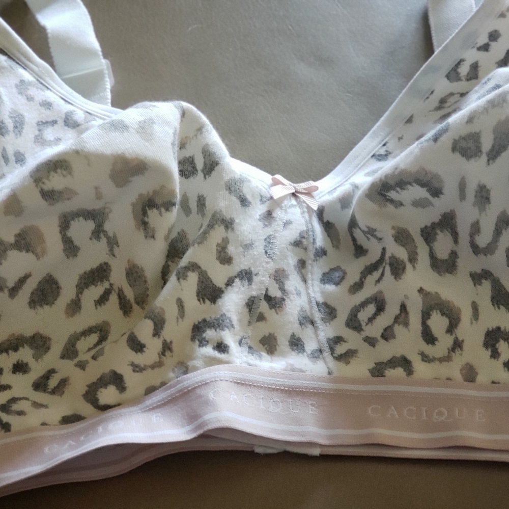 Bra